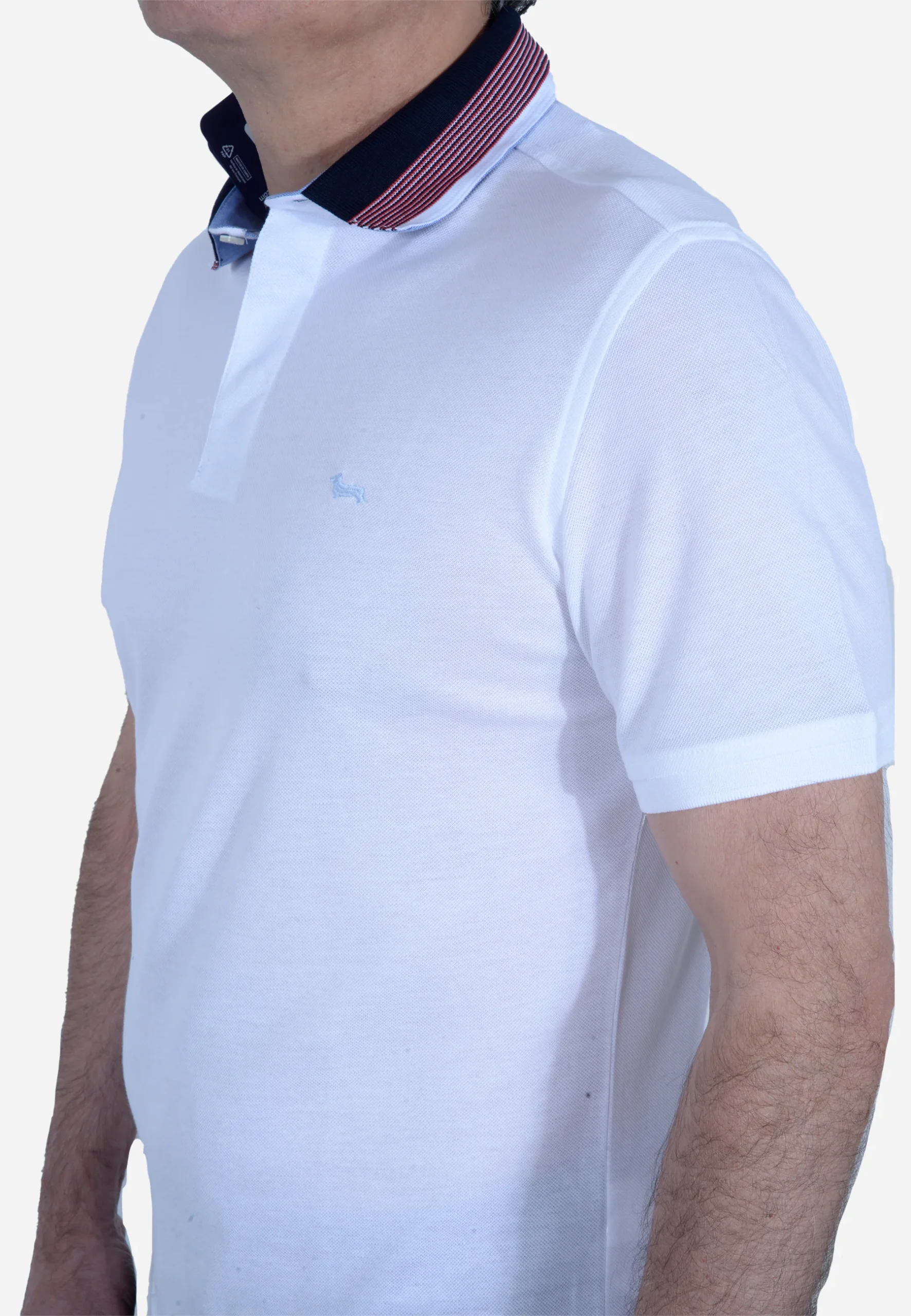 Camisa polo Blanca H&B - Imagen 3