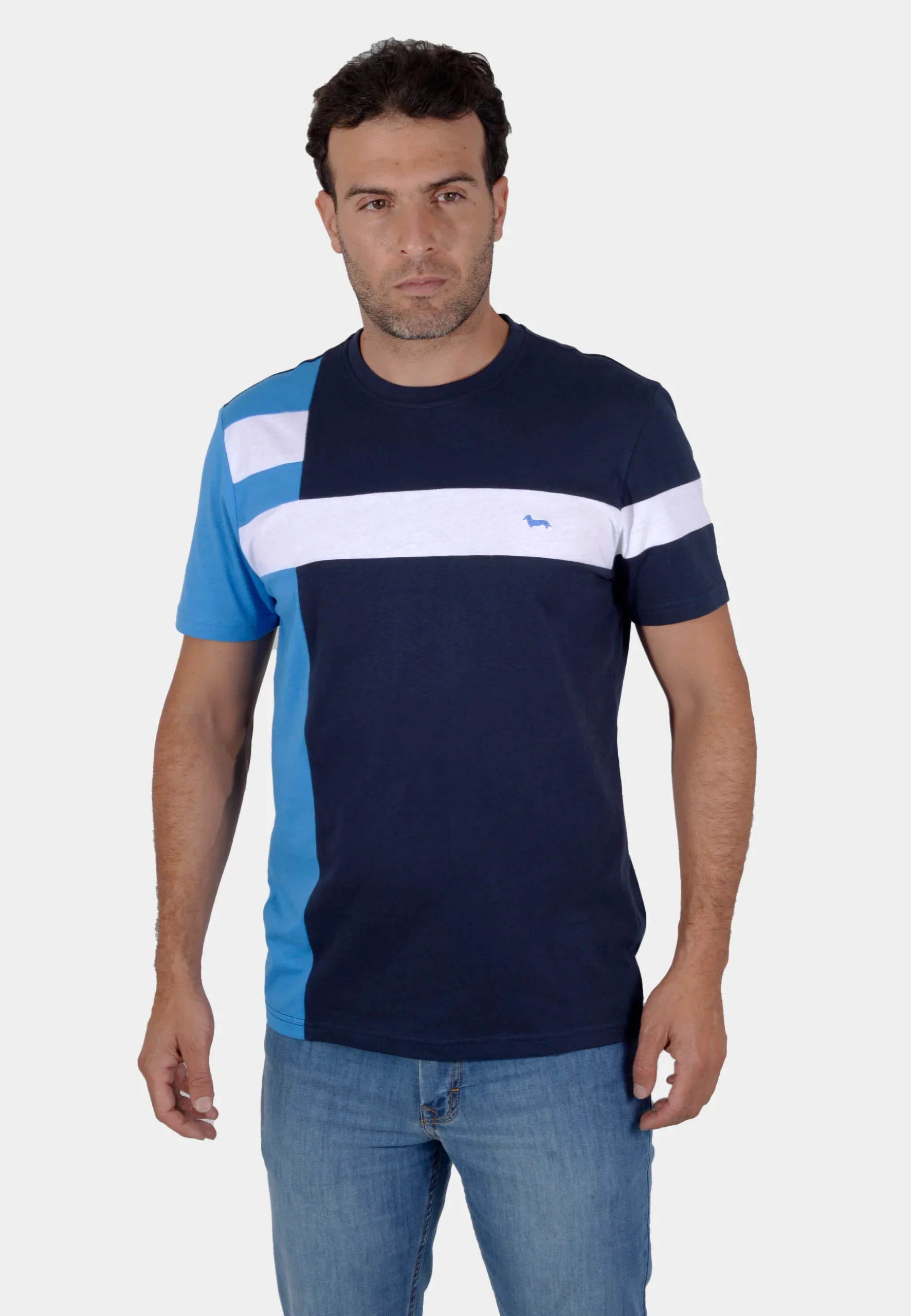 Camiseta T Shirt Azul Marino/Celeste H&B