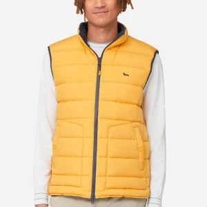 Chaleco Negro Acolchado Amarillo/Negro H&B