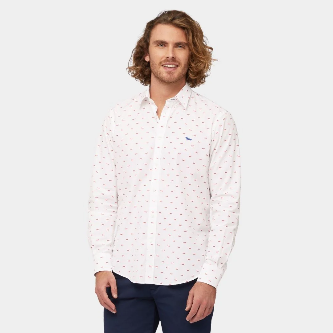 Camisa de Micro-Estampado "Punto y Estilo" H&B