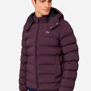 Chaqueta Hombre Acolchada Uva H&B