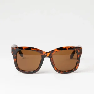 Anteojos de Sol Maui Café Bobs