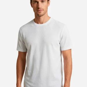 Camiseta Hombre Clasica B.