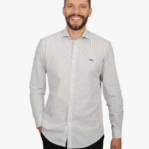 Camisa Sport con Microrayas Color Café H&B