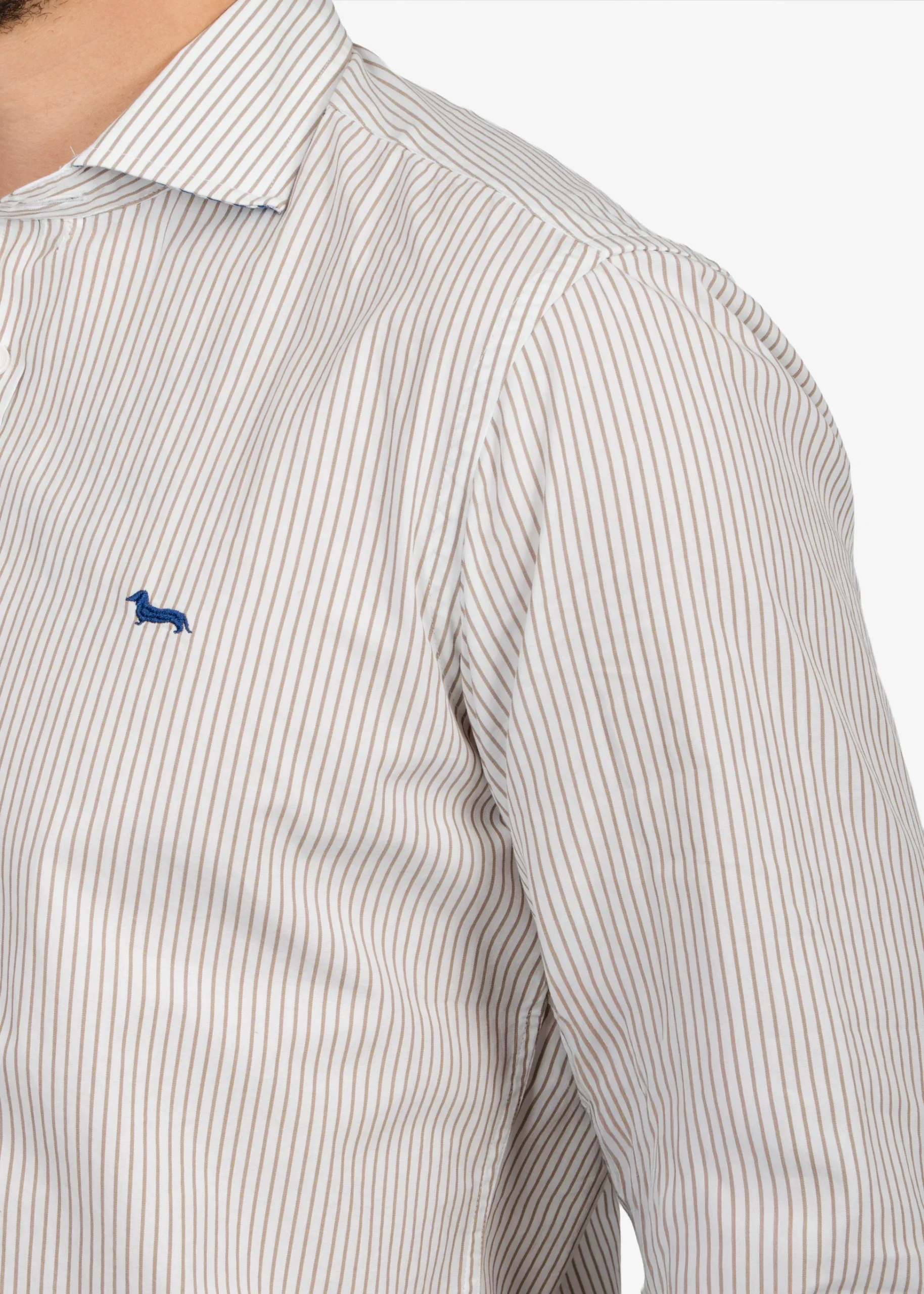 Camisa Sport con Microrayas Color Café H&B - Imagen 4