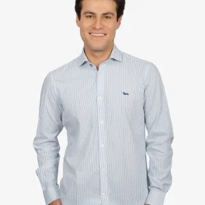 Camisa Sport Celeste Rayas Algodón H&B
