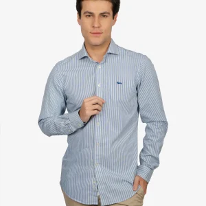 Camisa Sport con Microrayas Color Azul H&B