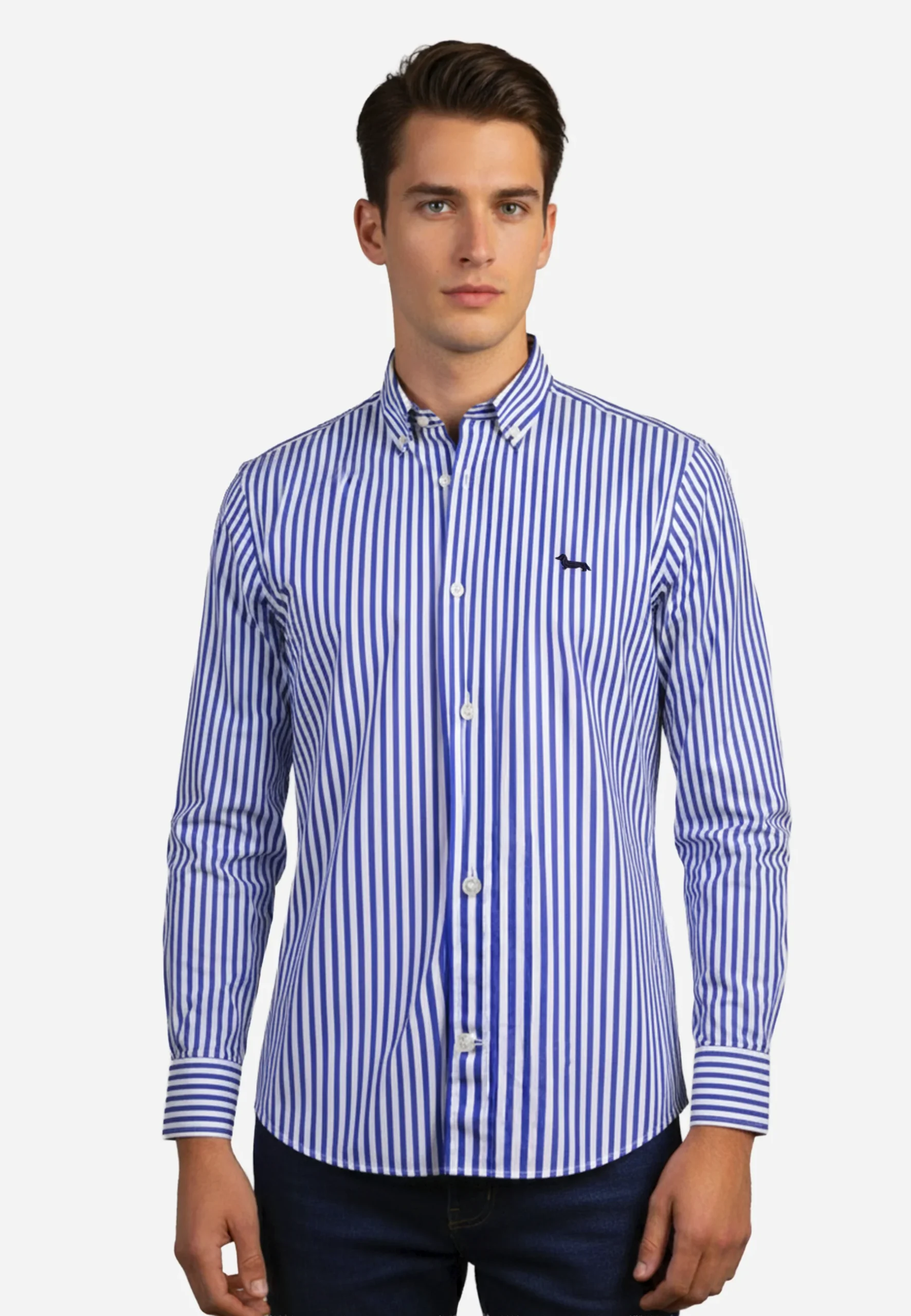 Camisa Rayas Azul Marino H&B