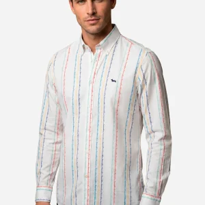 Camisa Hombre Líneas H&B