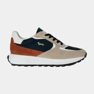 Tenis Shoes Beige/Azul H&B