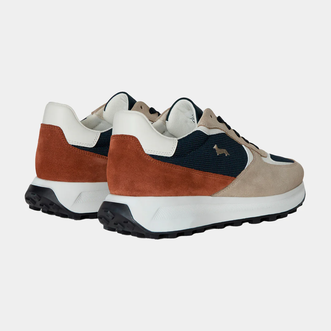 Tenis Shoes Beige/Azul H&B - Imagen 4