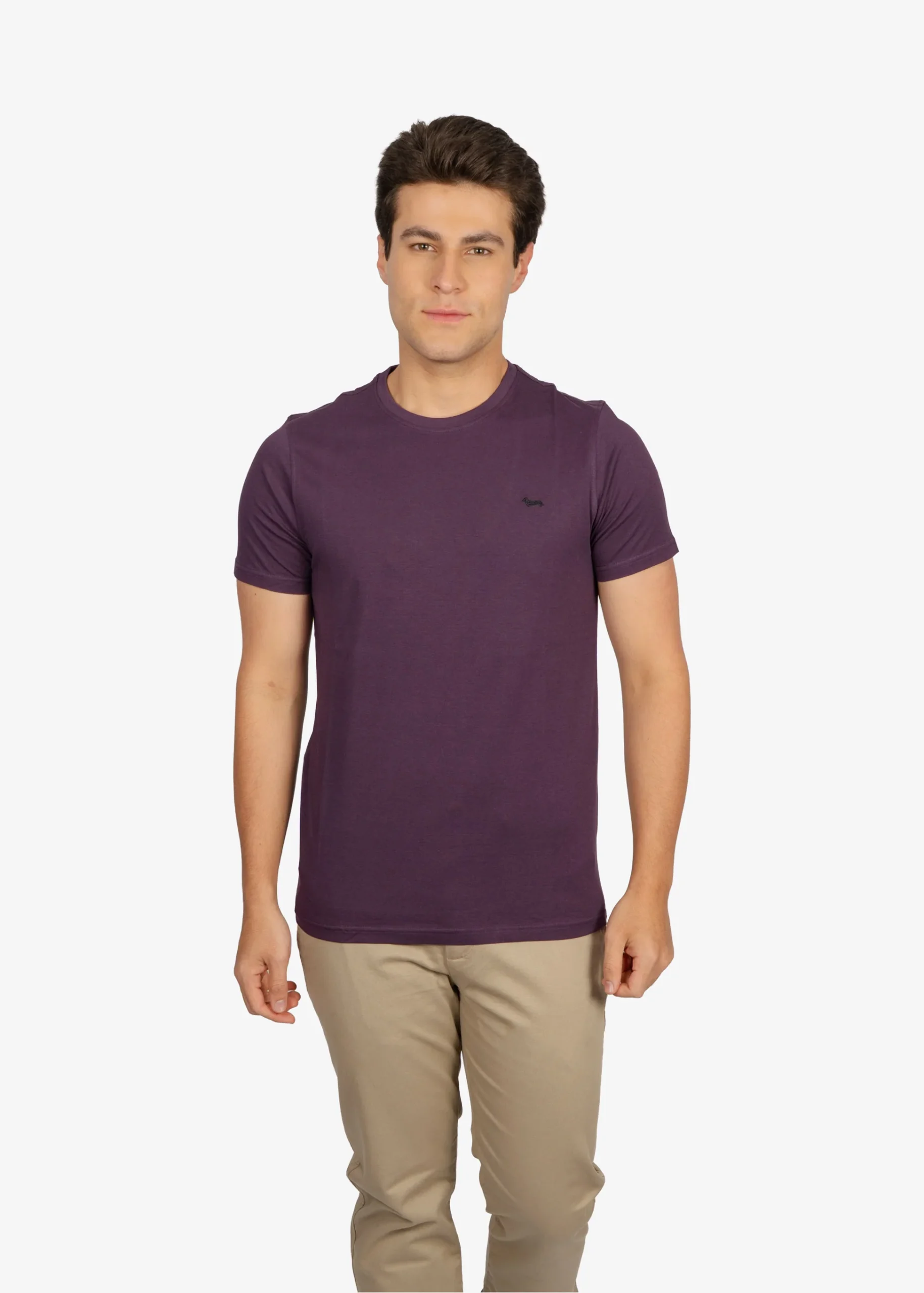 Camiseta Tshirt Morada H&B