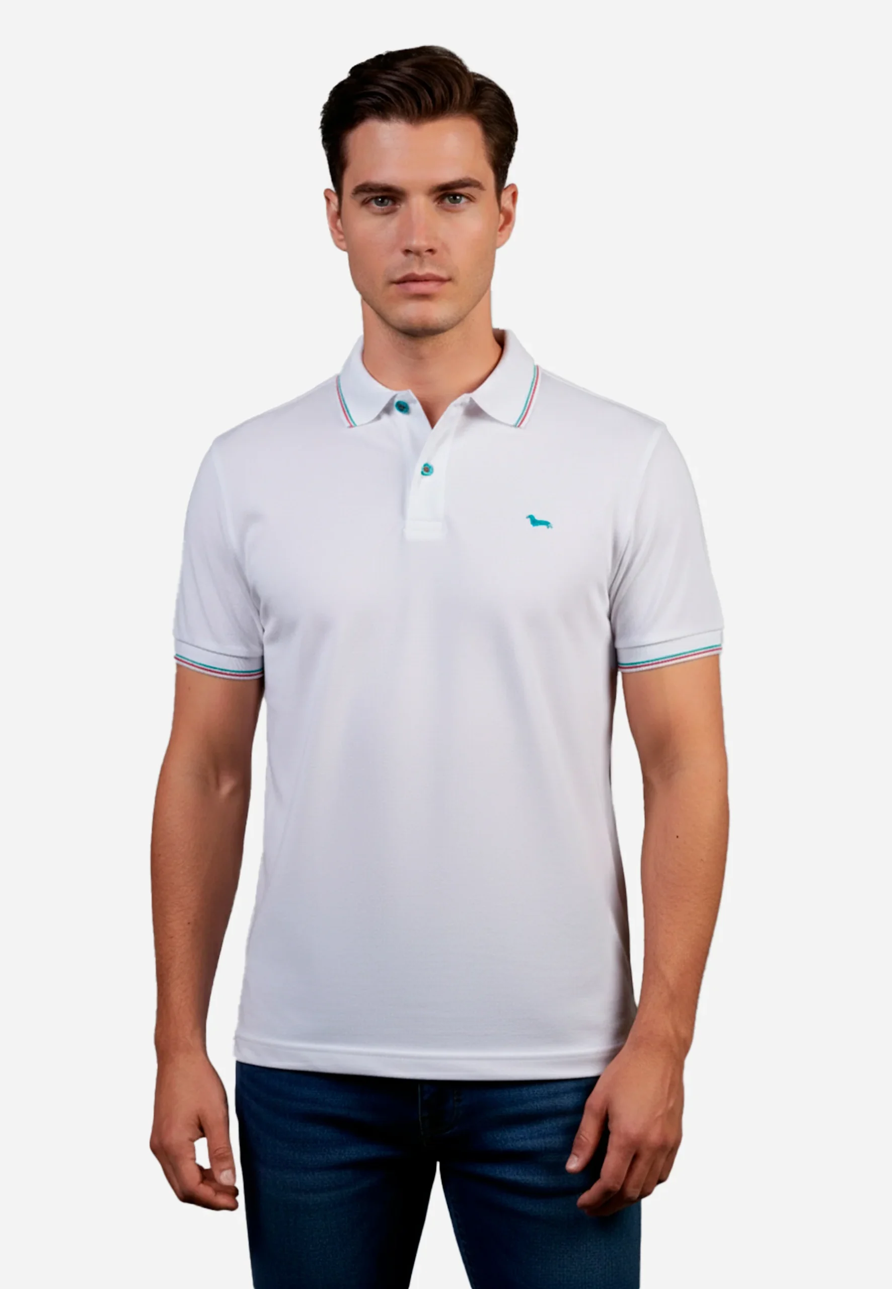 Camiseta Polo Blanca Líneas Verdes H&B
