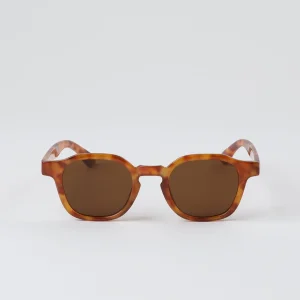 Anteojos Sol Cebu Café Bobs