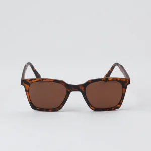 Anteojos Sol Borabora Café Bobs