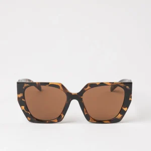 Anteojos de Sol Belice Café Humana