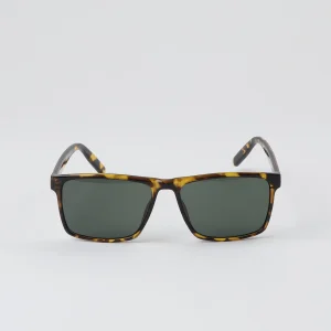 Anteojos Sol Phiphi Café Bobs