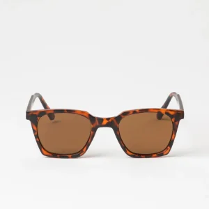 Anteojos de Sol Borabora Café Bobs