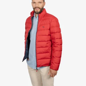 Chaqueta Roja Acolchado de Plumón H&B